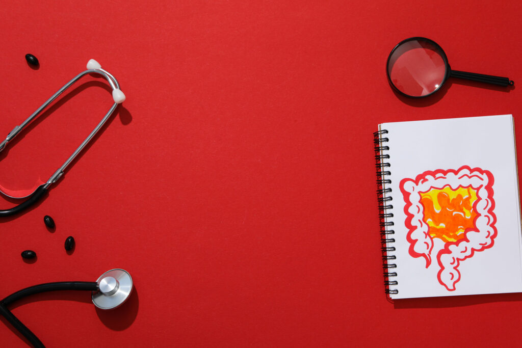 Spiral notebook with an illustration of intestines, black stethoscope, black capsules, and a magnifying glass arranged on a red background, representing digestive health diagnostics.